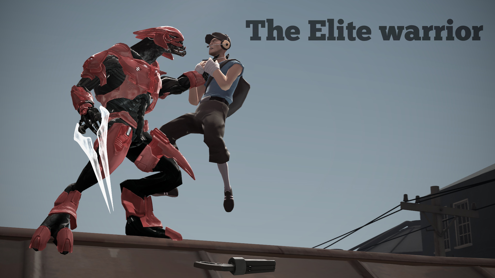 The Elite warrior