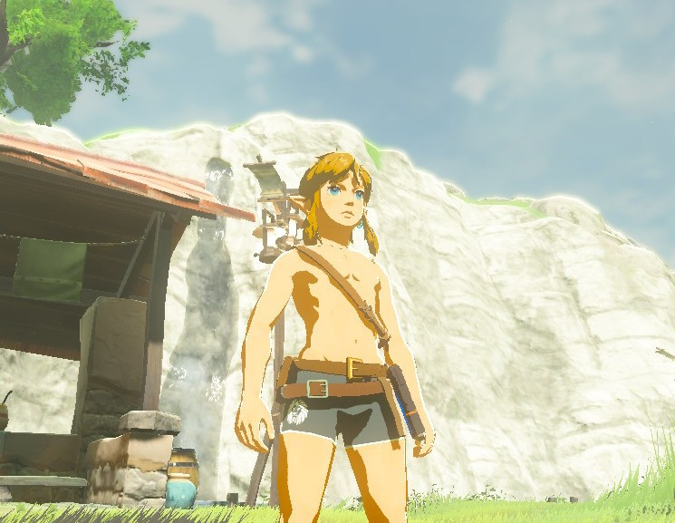 Short Underwear [The Legend of Zelda: Breath of the Wild (Switch