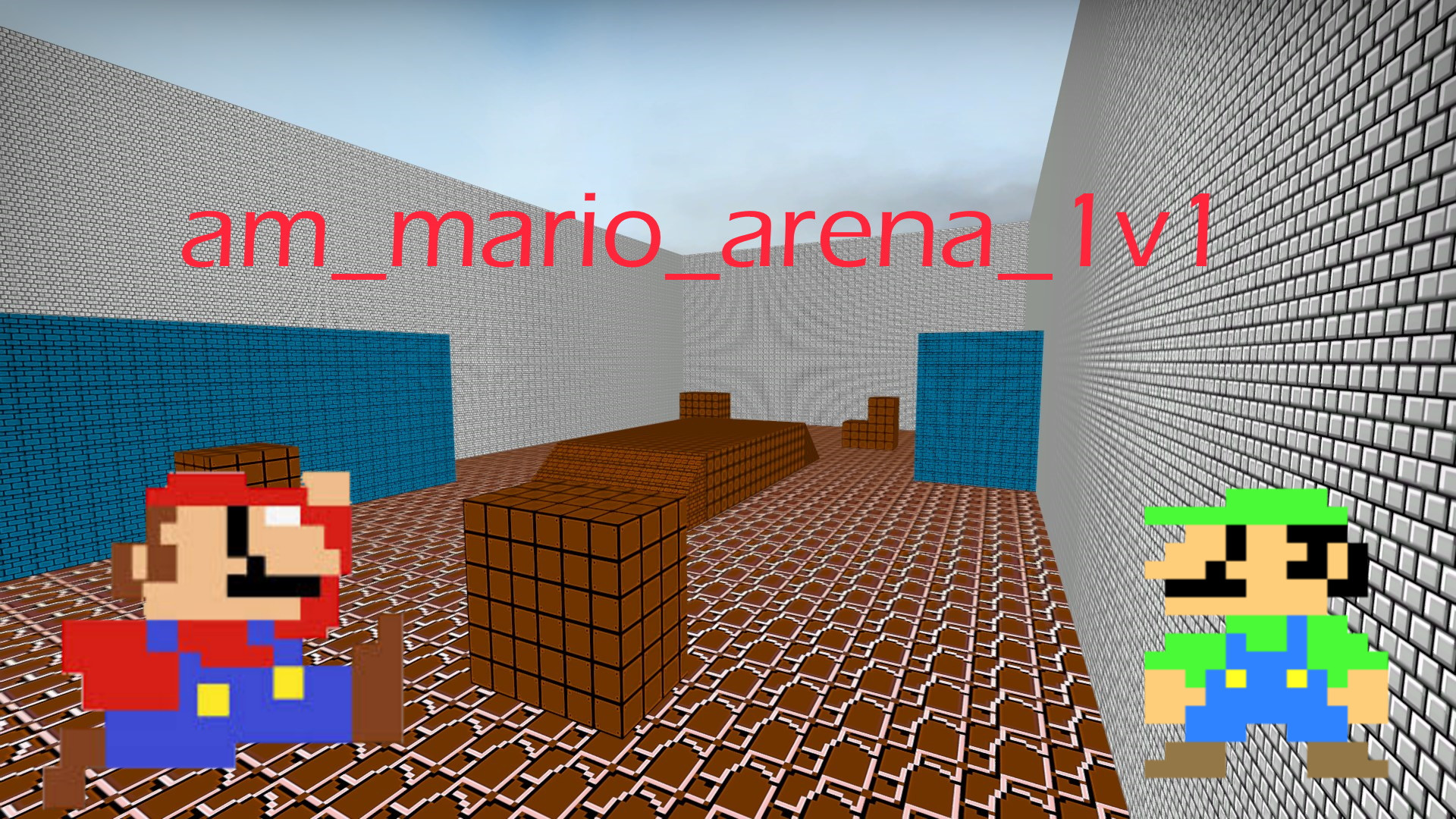 am_mario_arena_1v1