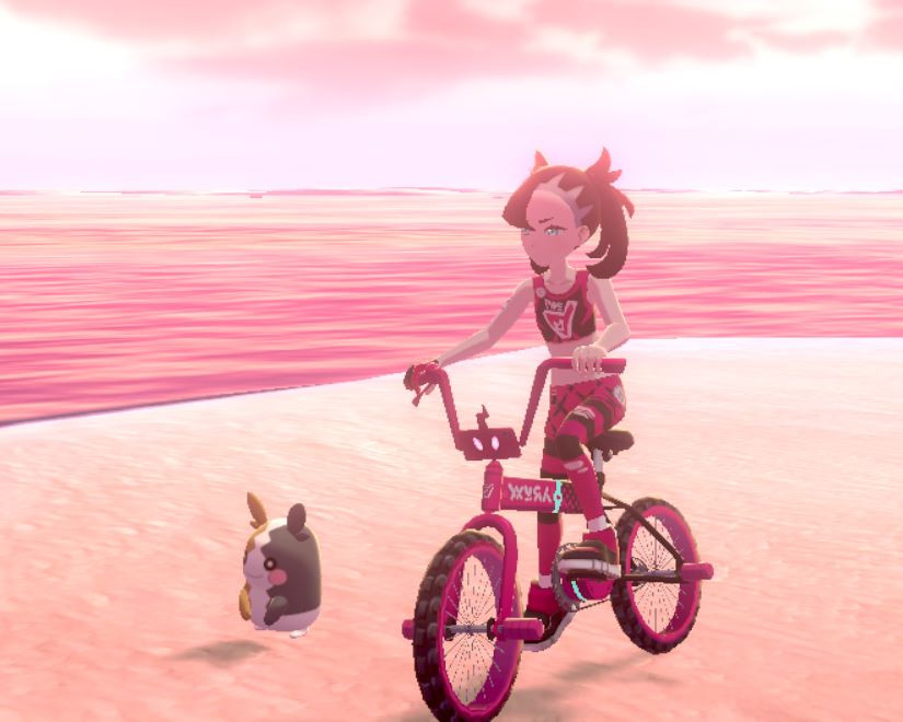 Team Yell/Marnie style Bicycle [Pokemon Sword & Shield] [Mods]