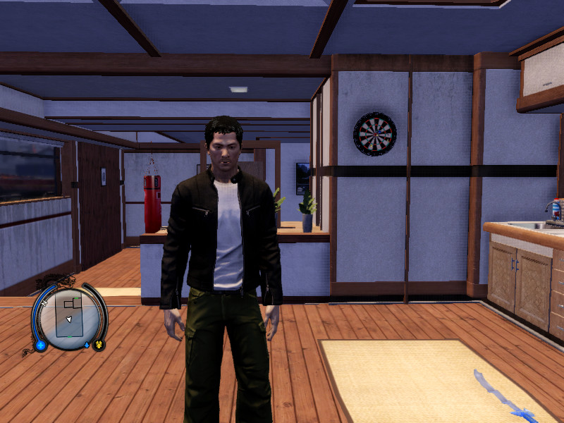 Sleeping Dogs for PC