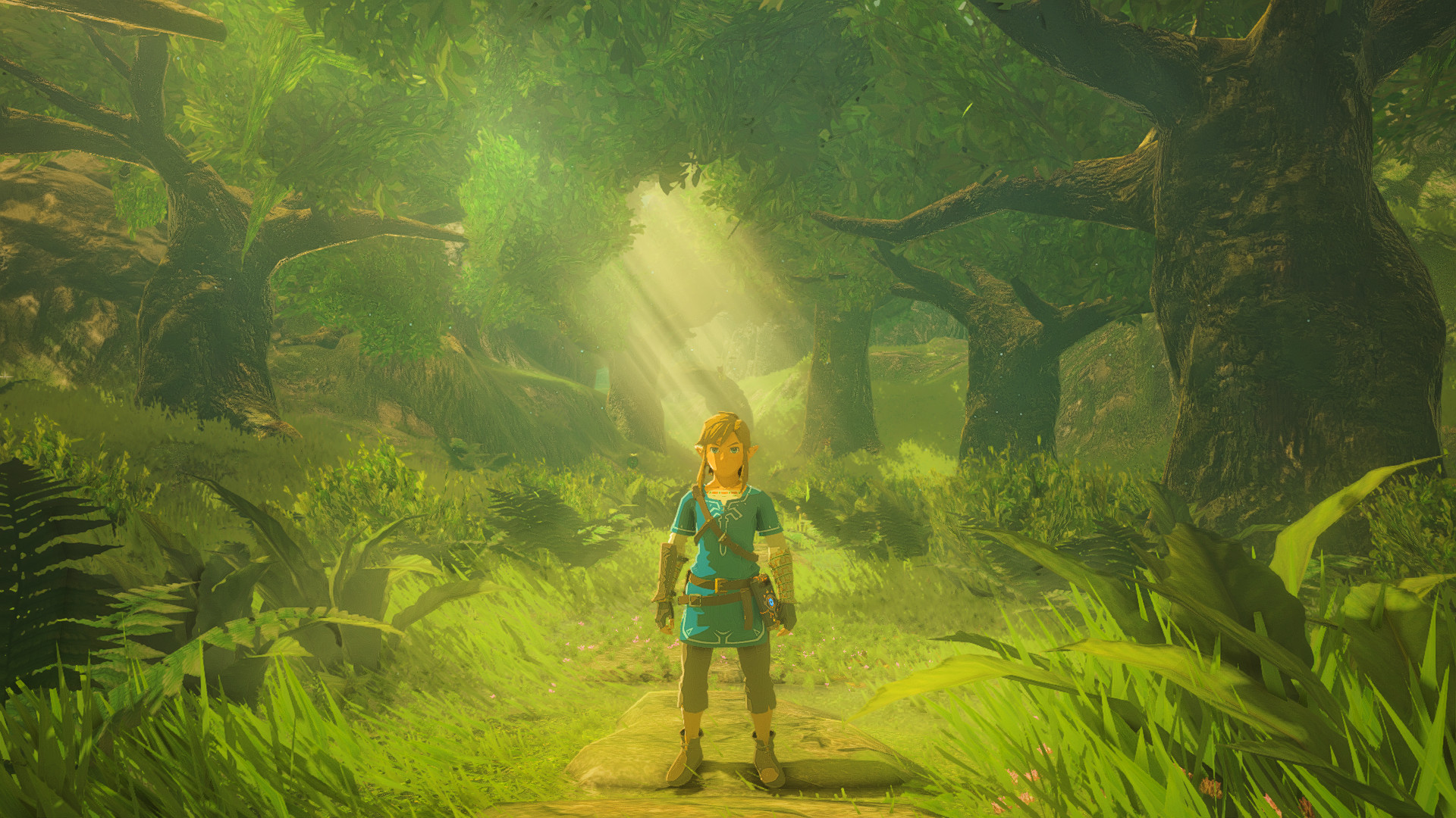 FullCrazy's ReShade preset [The Legend of Zelda: Breath of the Wild ...