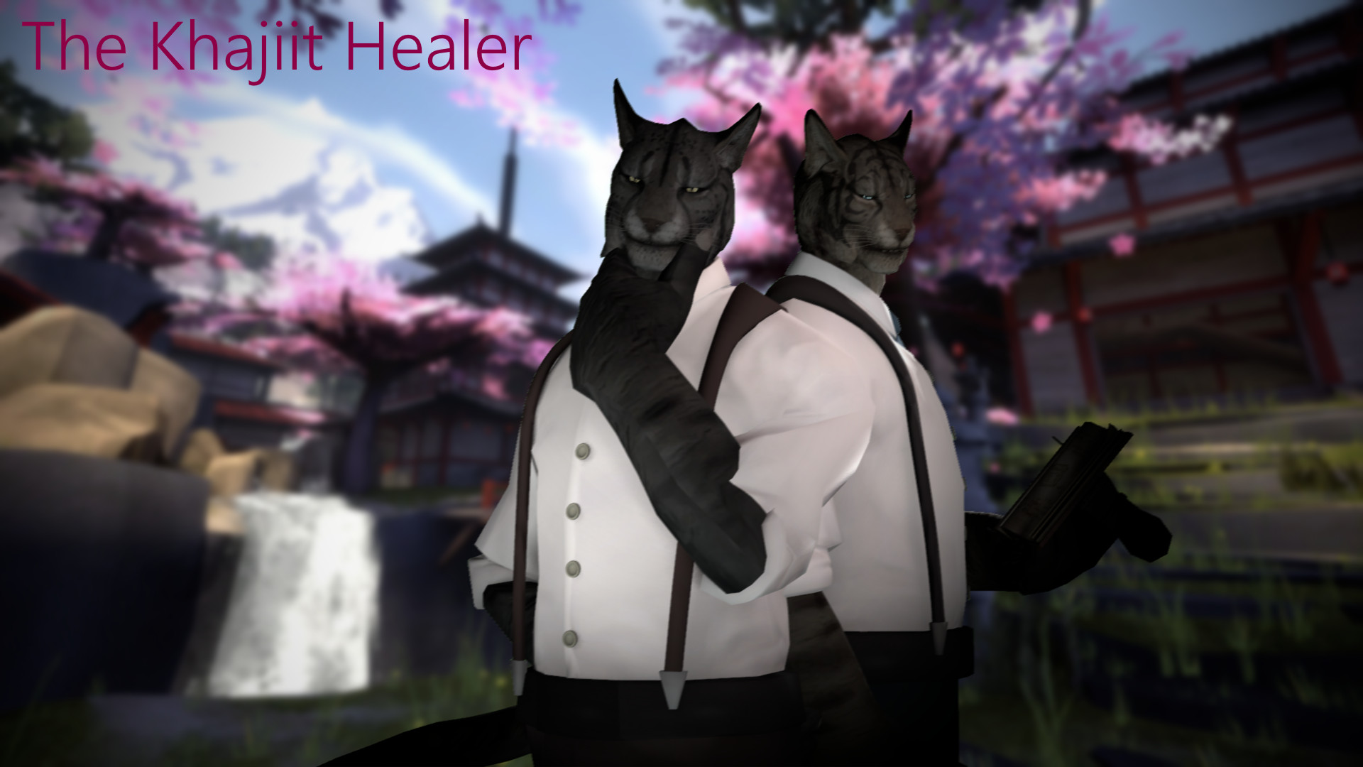 The Khajiit healer