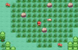 Fire Red Extended Version [Pokemon FireRed and LeafGreen] [Mods]