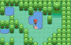 FireRed hack: - Pokémon: Fire Red Extended Version