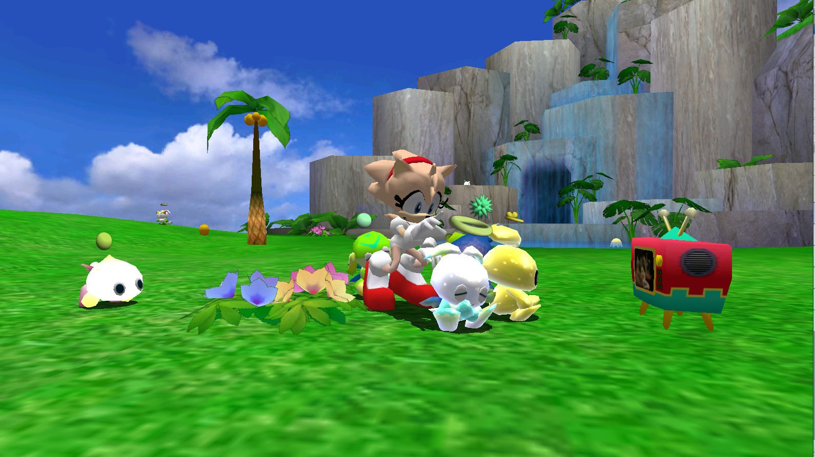 Rolling Rascal Sonic Rosy the Rascal Mod for Sonic Adventure 2 | SA2 Mods