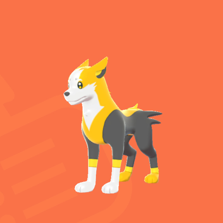 Pokemon Yamper Evolution Chart