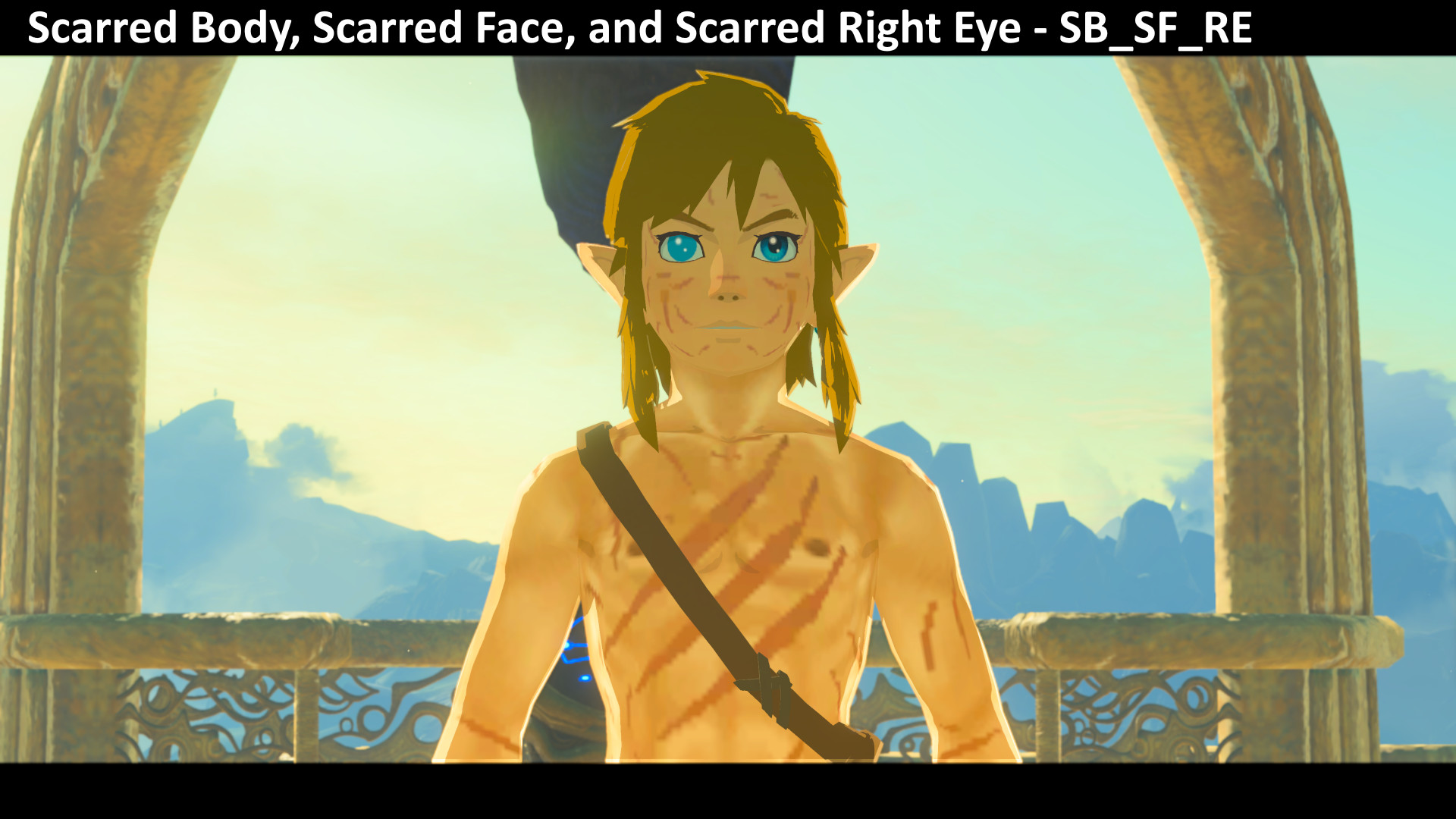 Link s Battle Scarred AMST Mod For The Legend Of Zelda Breath Of The 