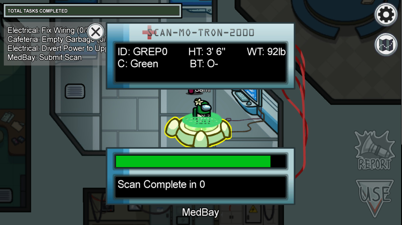 LilyPichu Flower [Among Us] [Mods]