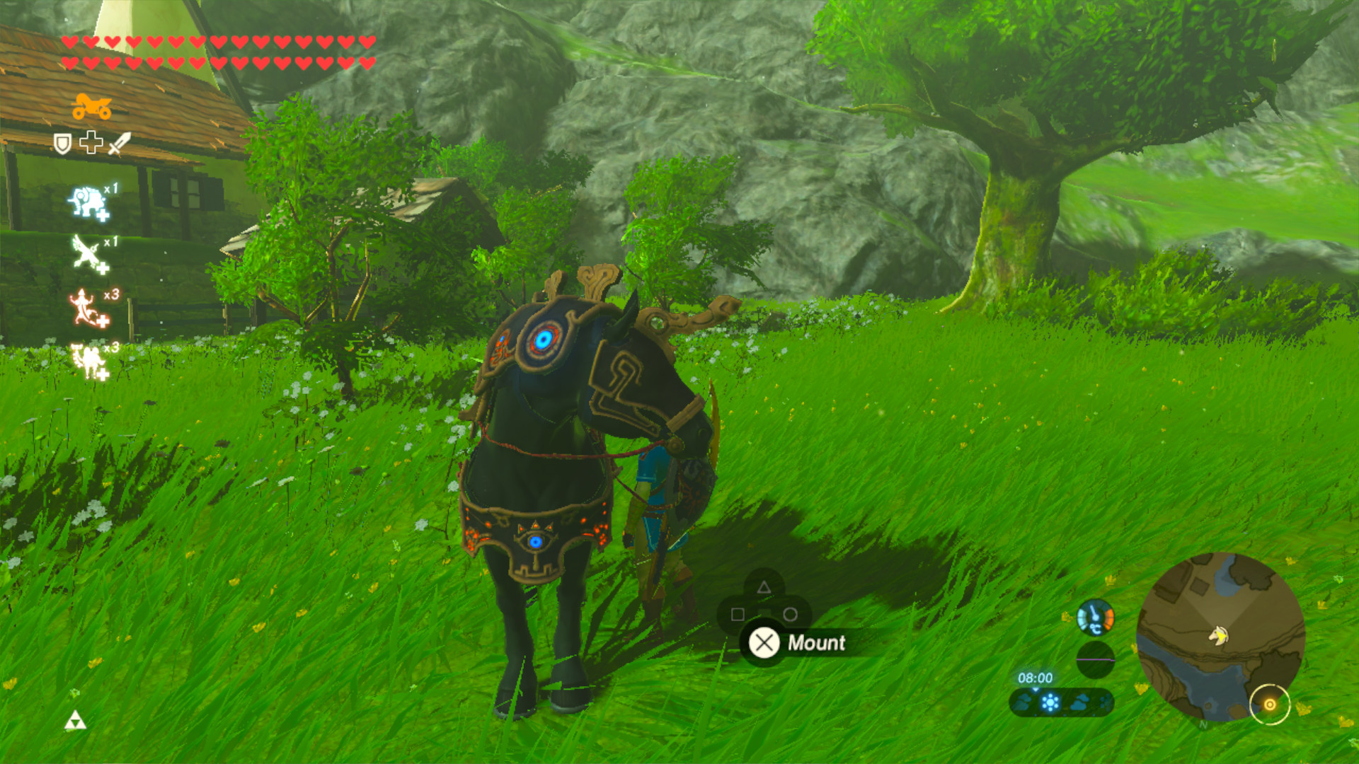 User Interface in The Legend of Zelda: Breath of the Wild