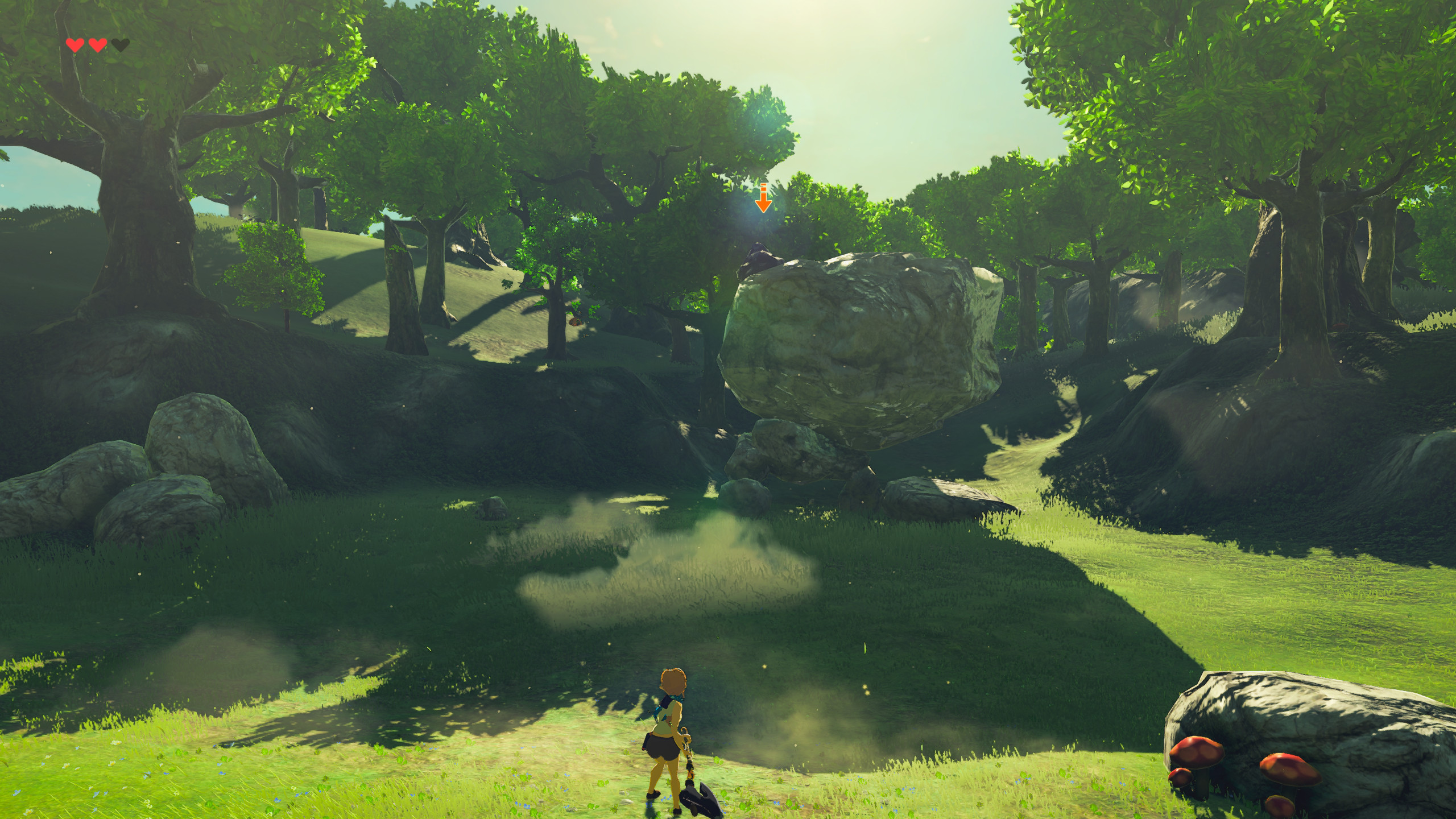 Hide enemy health bars & Z target arrow [The Legend of Zelda Breath of