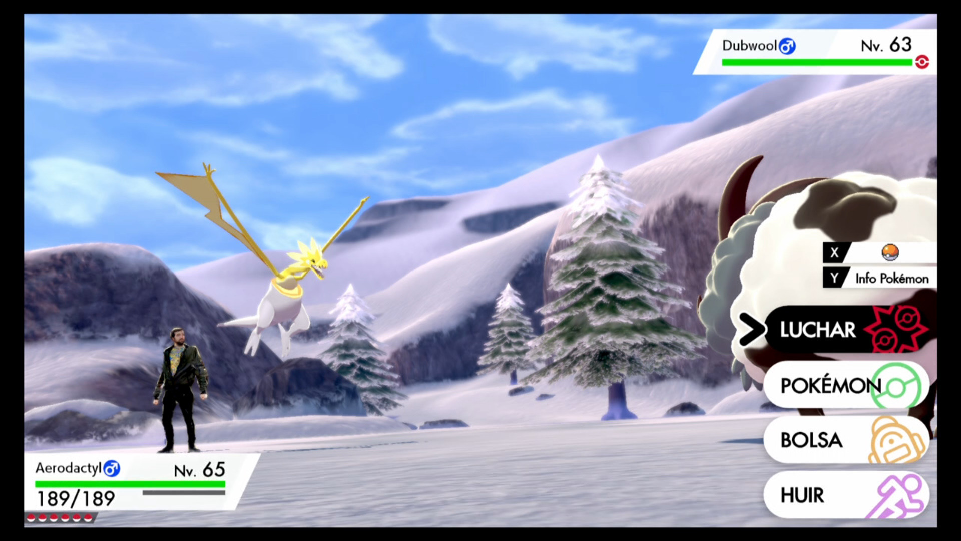 Pokemon Sword and Shield Aerodactyl