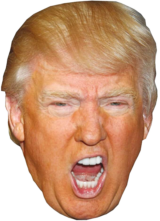 Donald Trump crit