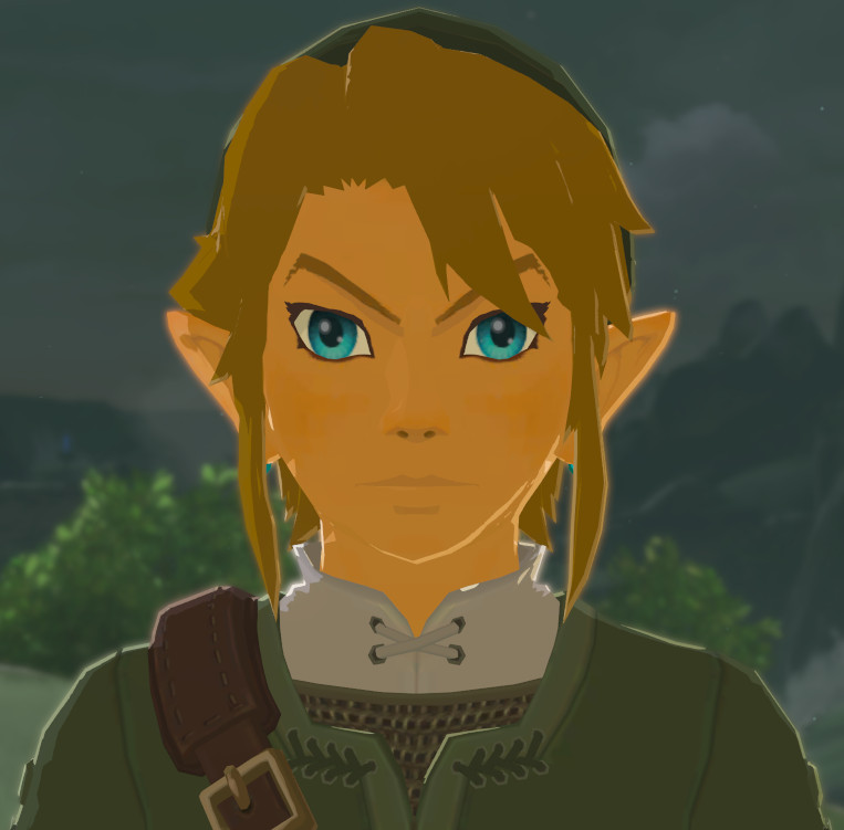 Twilight Princess Link Face Mod The Legend Of Zelda Breath Of The