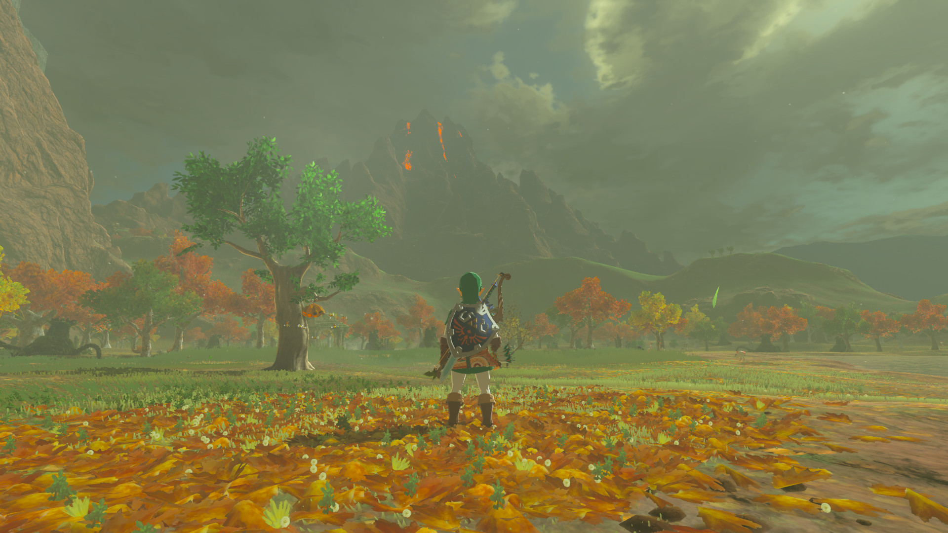 Real Slim Shader Mod for The Legend of Zelda: Breath of the Wild (WiiU ...