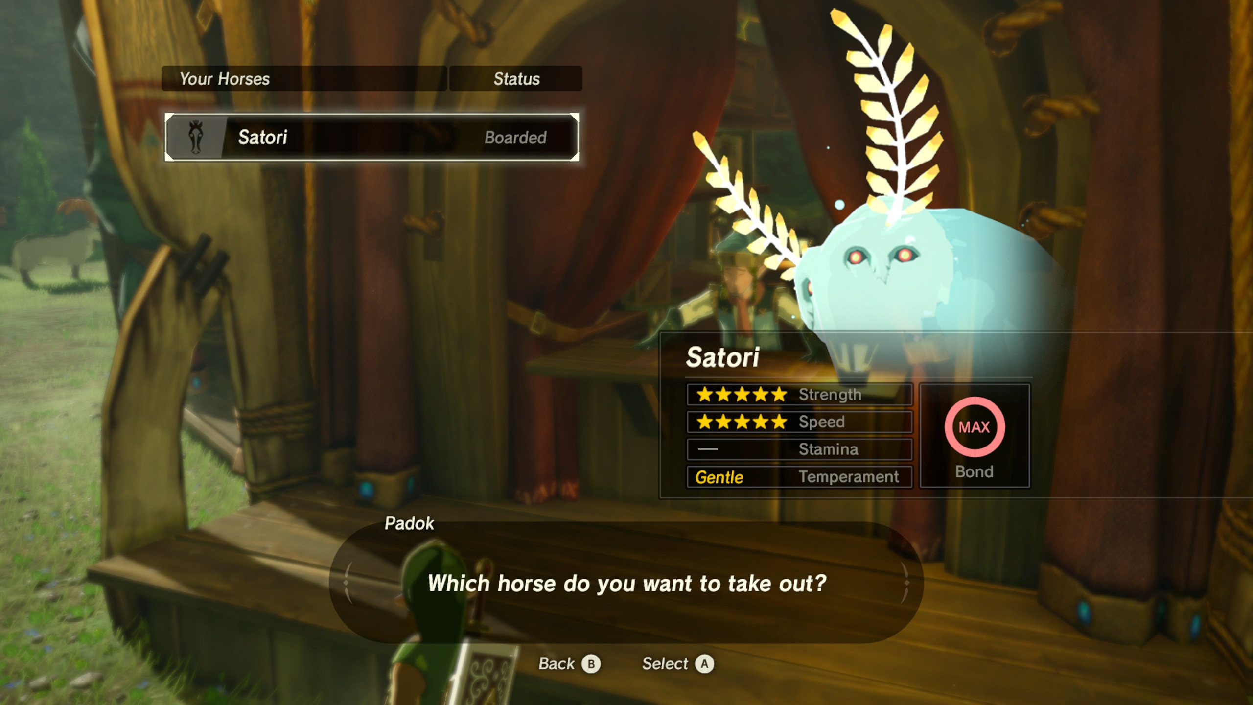 Invisible Ancient Horse Gear & Custom Horse Icons [The Legend of Zelda Breath of the Wild (WiiU