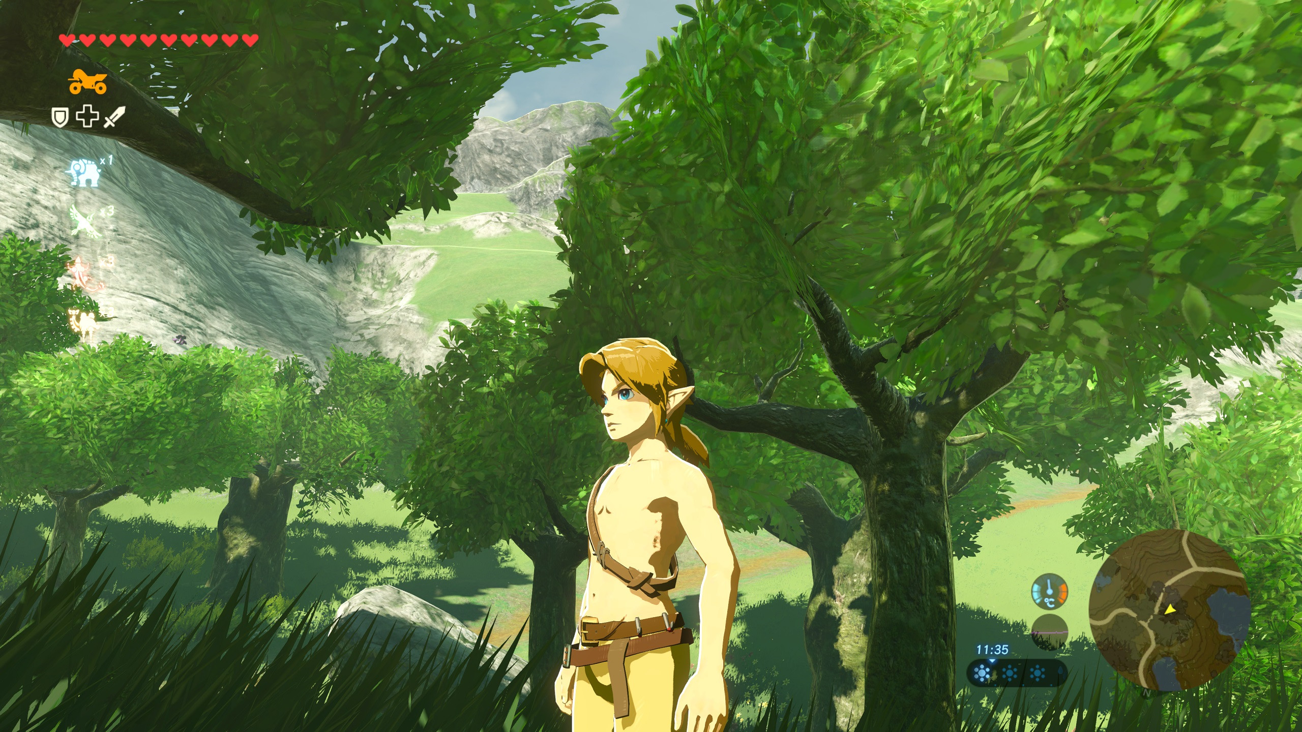 Hero's Purpose Link [The Legend of Zelda: Breath of the Wild (WiiU)] [Mods]