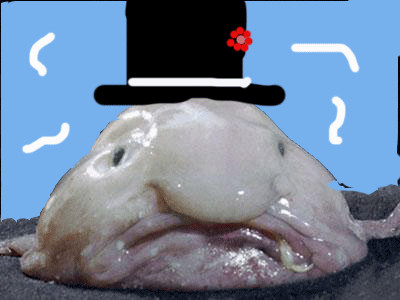 Как выглядит рыба сопля Mr.fishys FNF mod Friday Night Funkin' Mods