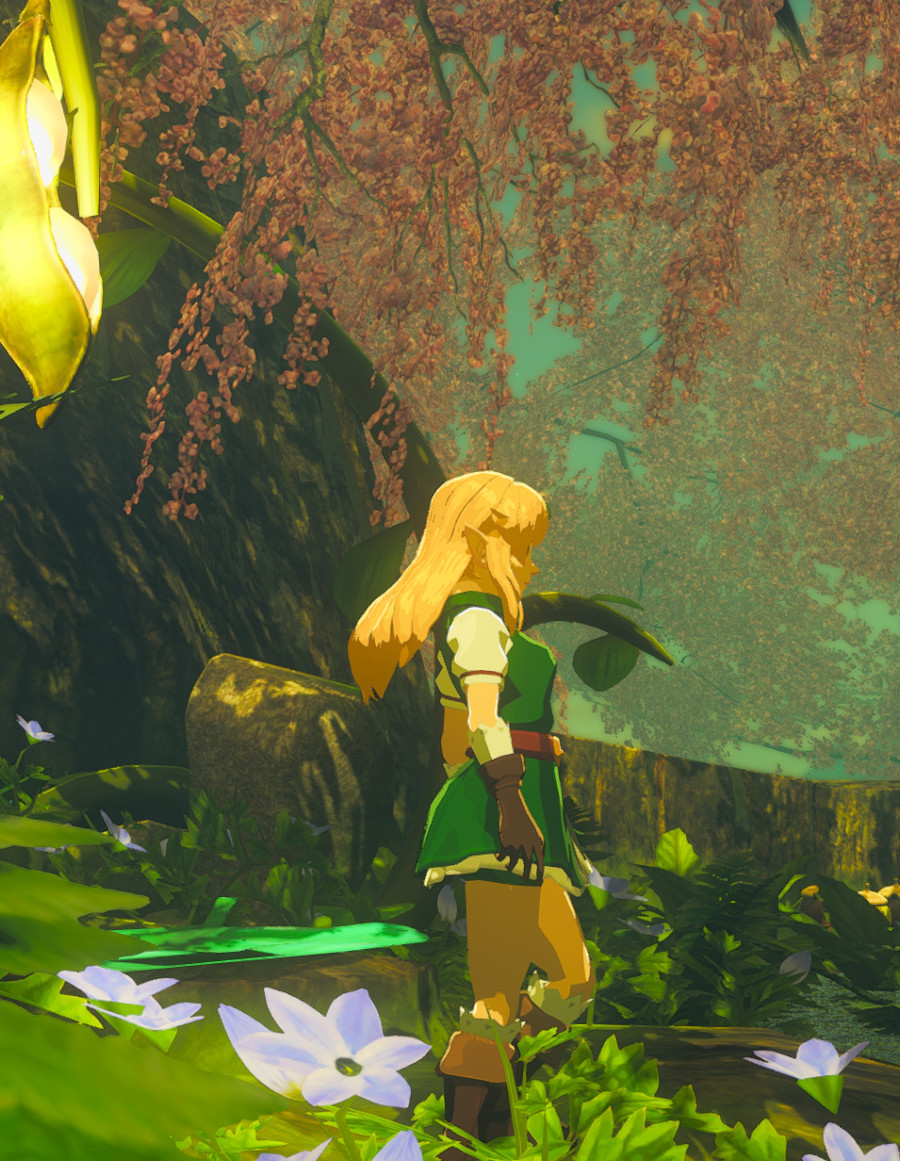 Long Hair Replacer NX The Legend Of Zelda Breath Of The Wild Switch 