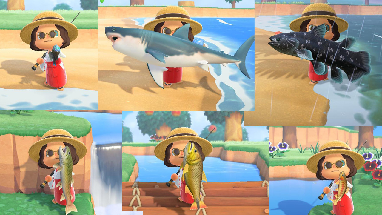 ONLY The Most EXPENSIVE Fishes/Insects appear [Animal Crossing New