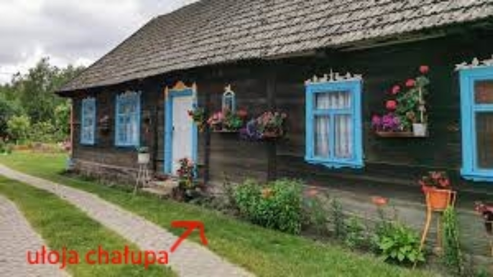polski sprzemcior