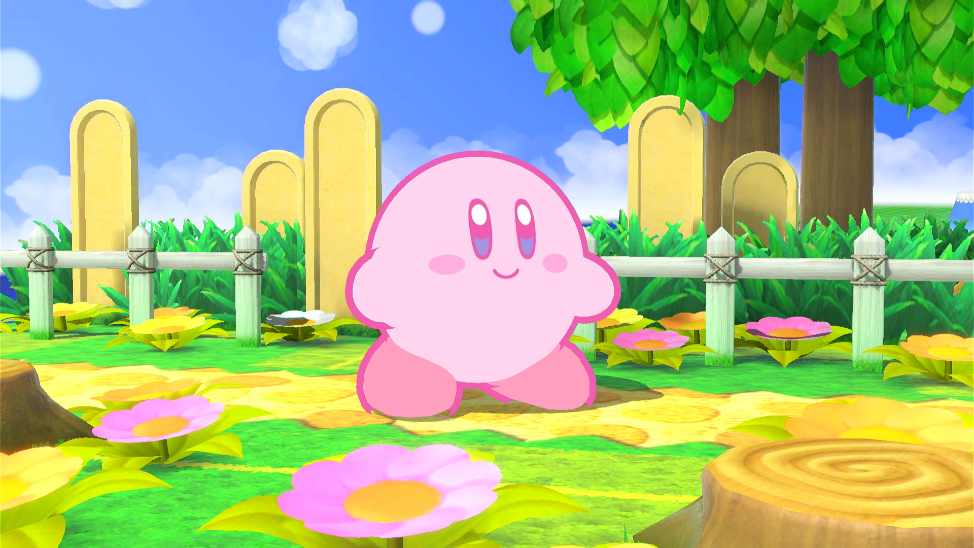 24 COOL Kirby Mods! 