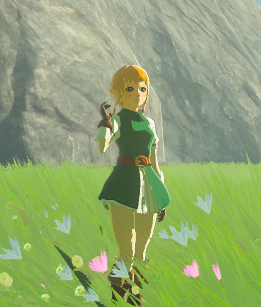 Girly Animation Pack [The Legend of Zelda: Breath of the Wild (Switch ...