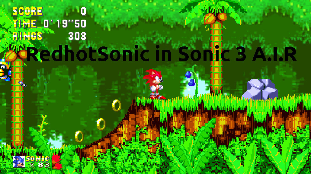 SUNKY in Sonic 3  Sonic 3 AIR MODS 