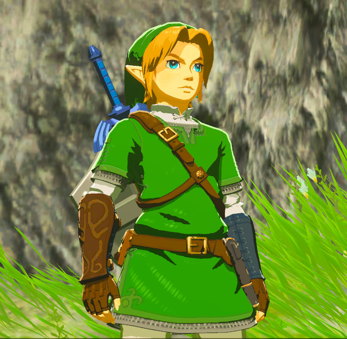 Matching Green Tunics [The Legend of Zelda Breath of the Wild (WiiU