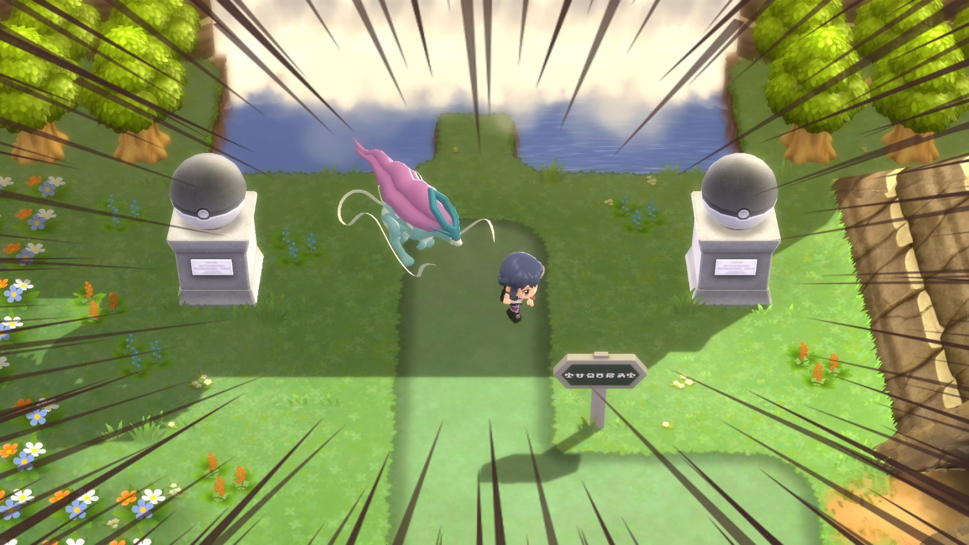 (2.1)HG/SS Following Style+Fixed Static Animations [Pokemon Brilliant