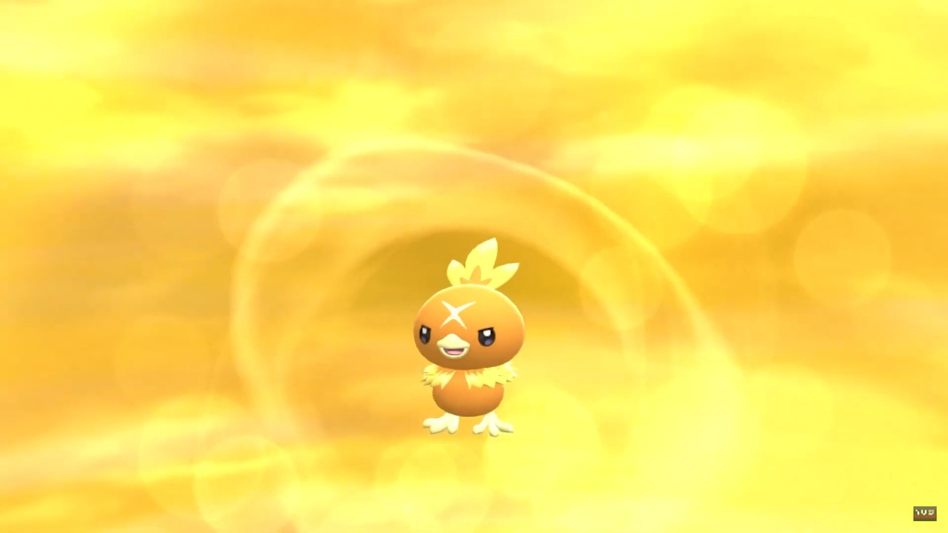 Torchic by Pokémon Mystery Dungeon Ginji's Rescue [Pokemon Brilliant