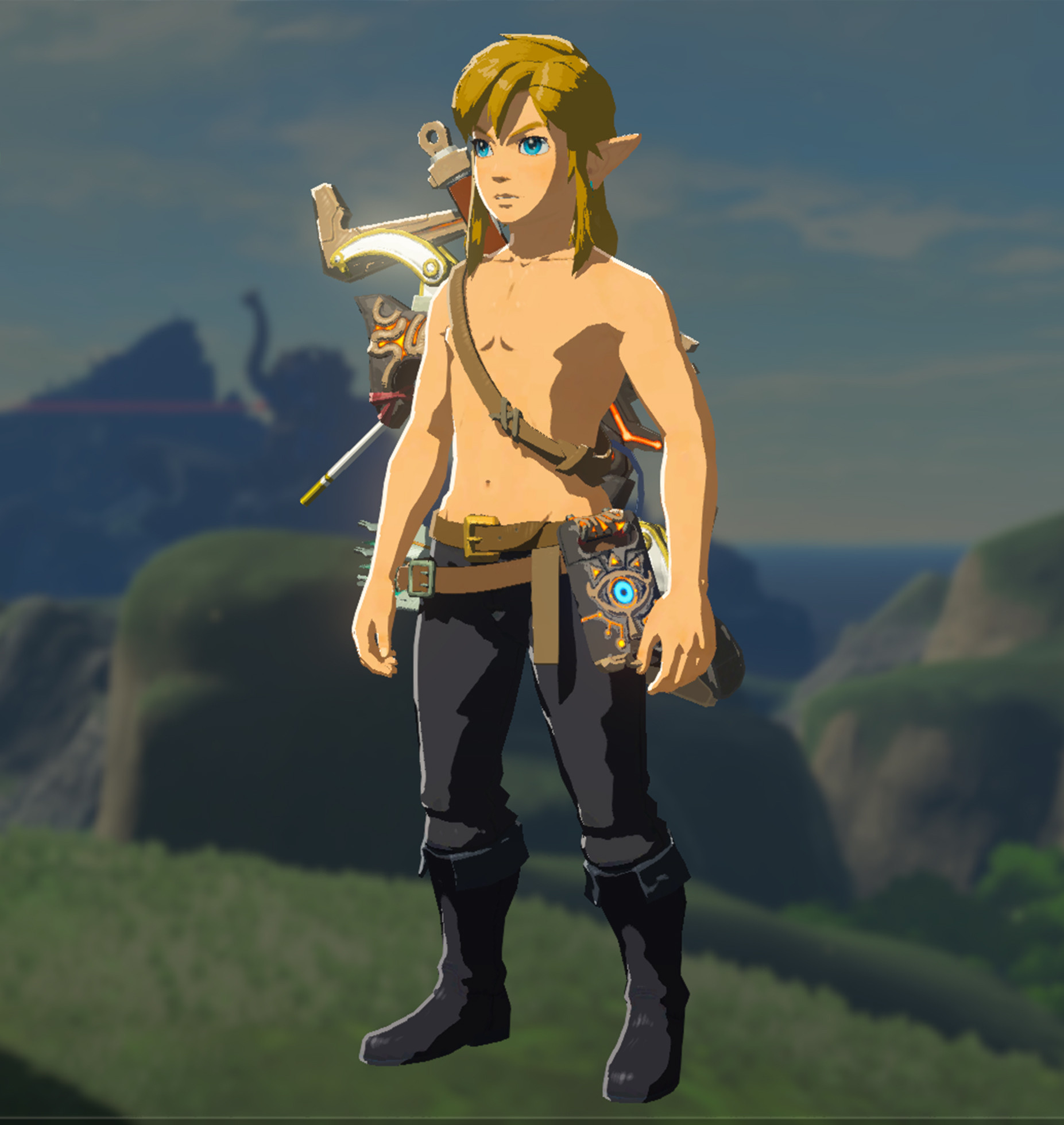 Dark Link Deity armor [The Legend of Zelda: Breath of the Wild (WiiU ...