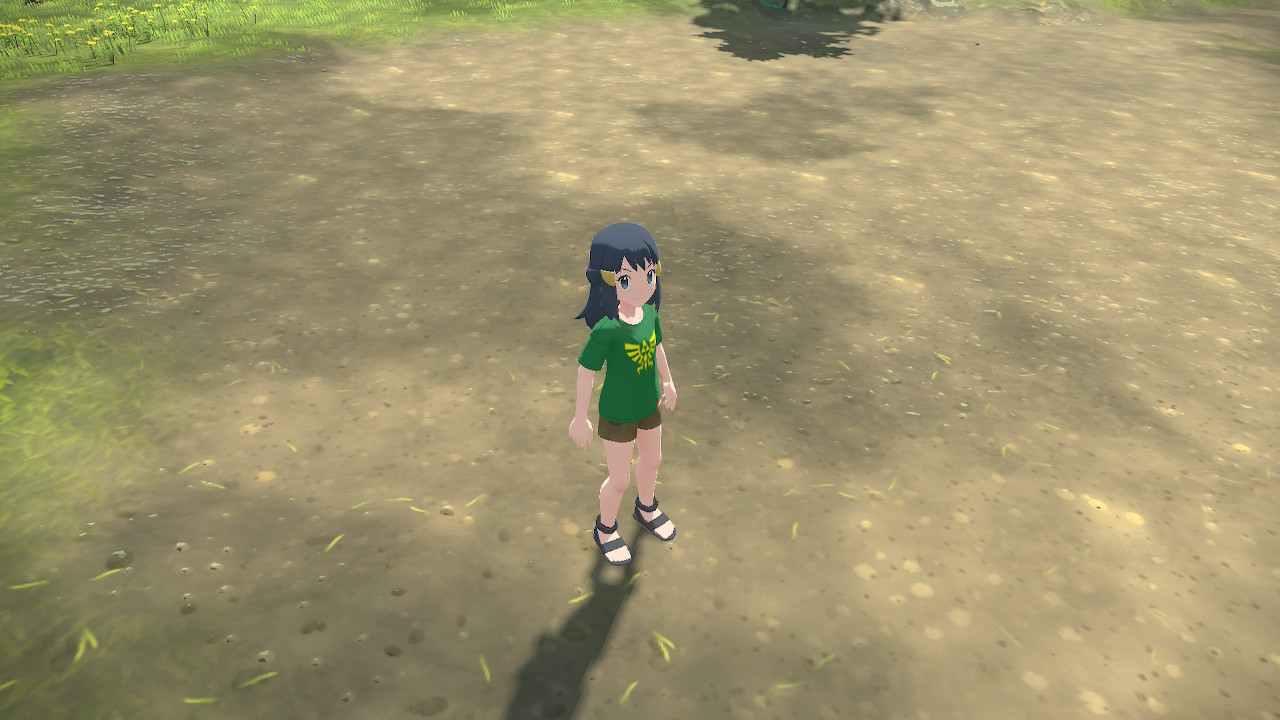 Zelda Shirt & Cargo Shorts [Pokémon Legends Arceus] [Mods]
