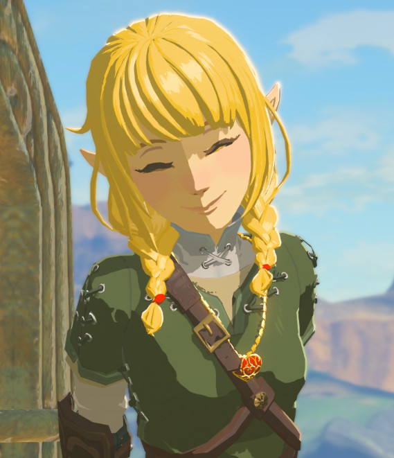 Logical Braids Standalone The Legend Of Zelda Breath Of The Wild Wiiu Mods 5560