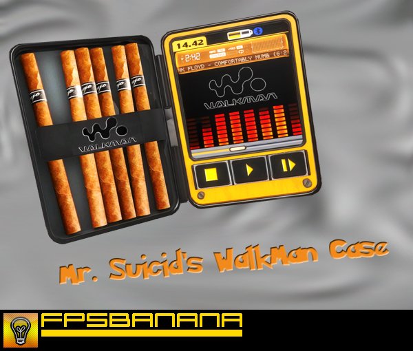 WalkMan Disguise Case