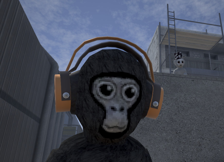 Skins, Gorilla Tag Wiki