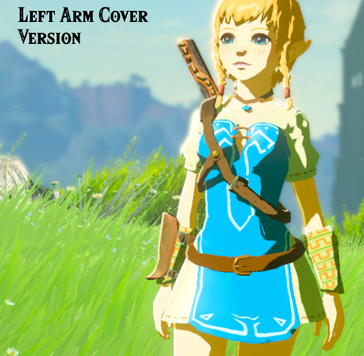 Linkle's Champion Tunic as a Dress [The Legend of Zelda: Breath of the ...