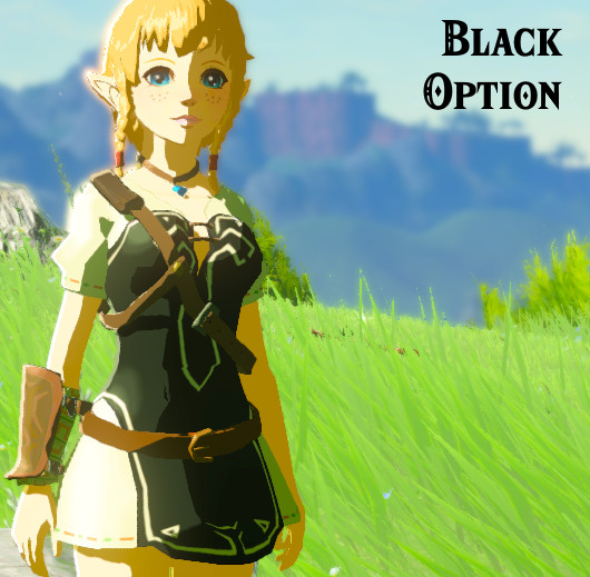 Linkle's Champion Tunic as a Dress [The Legend of Zelda: Breath of the ...