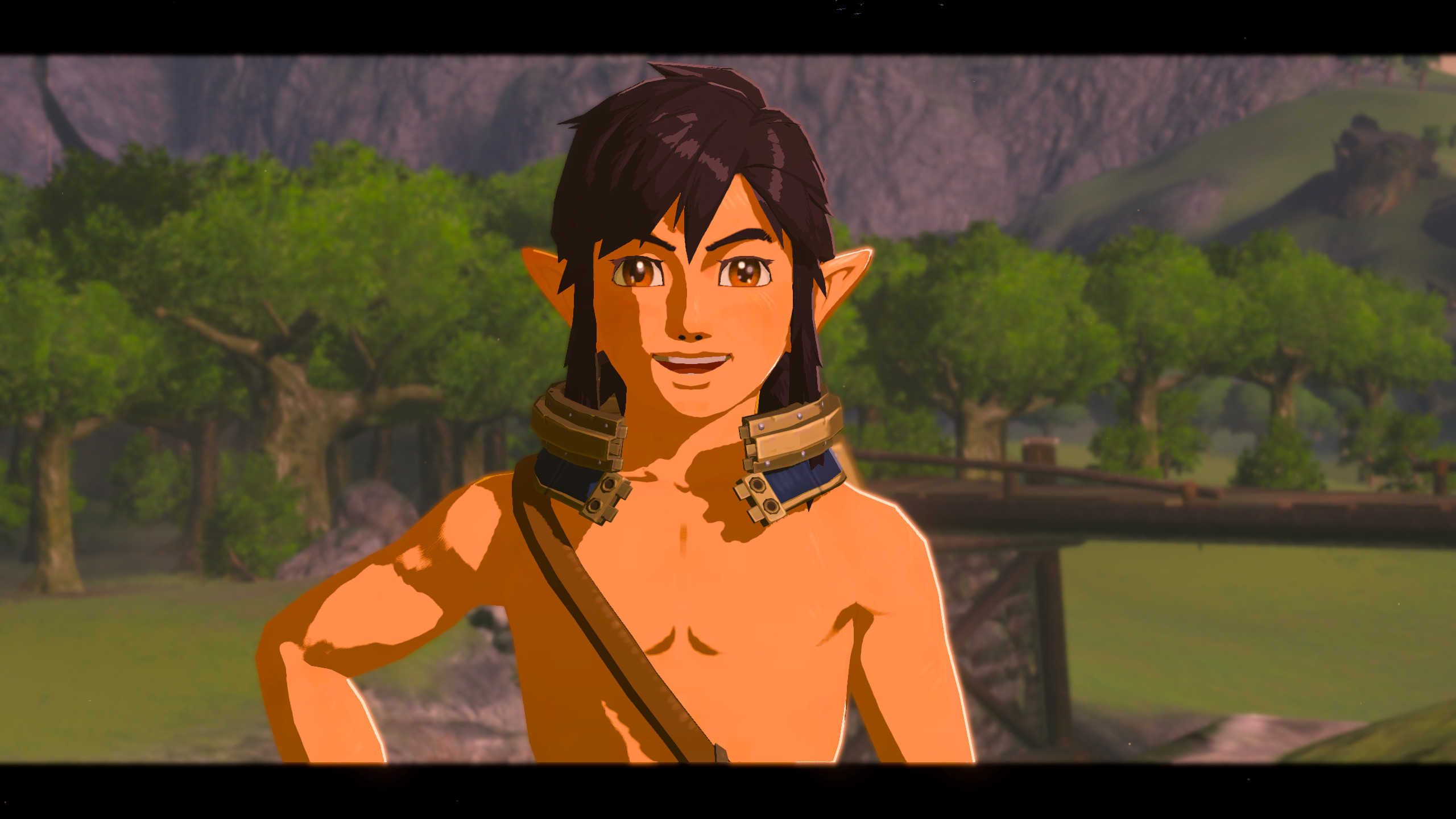 Link Black hair & Brown eyes [The Legend of Zelda: Breath of the Wild ...