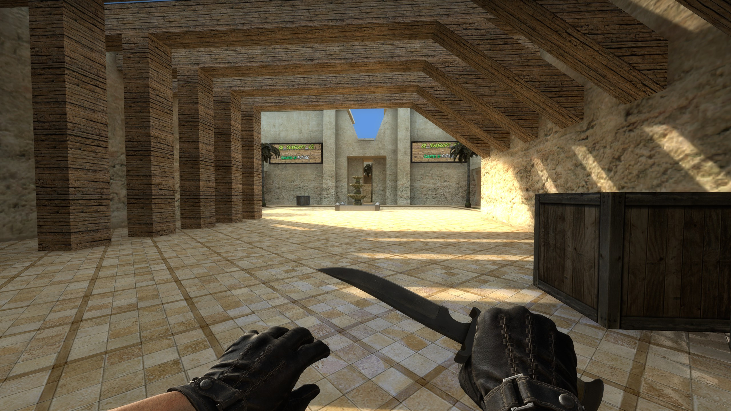 ze_surf_gypt_v2r1