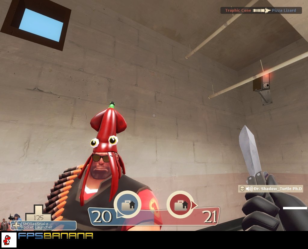 Squid Hat Team Fortress 2 Mods