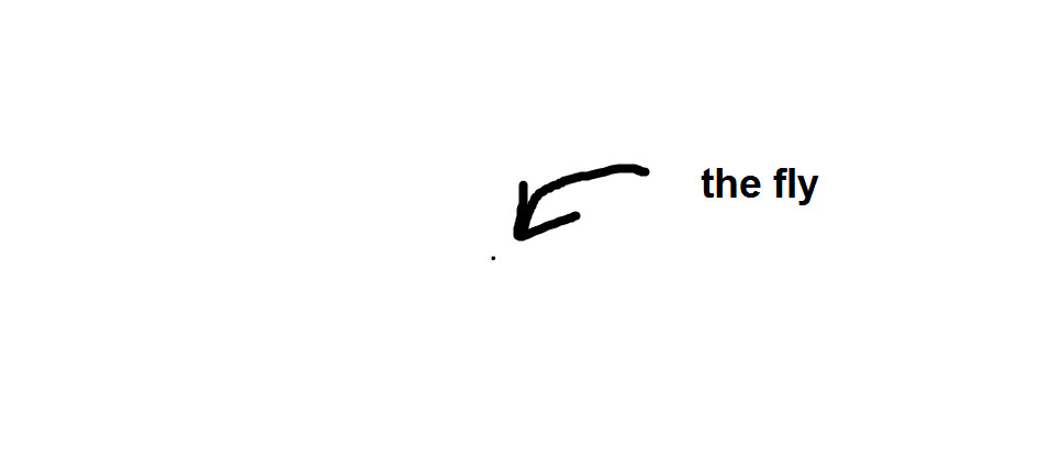 FNF: The Fly Mod