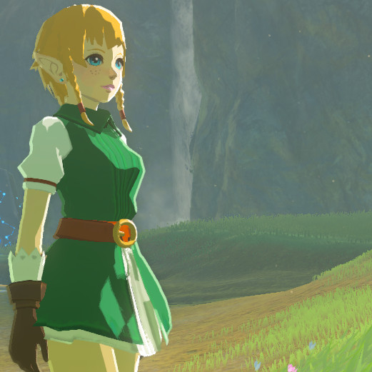 Stylish Linkle - [switch port] [The Legend of Zelda: Breath of the Wild ...