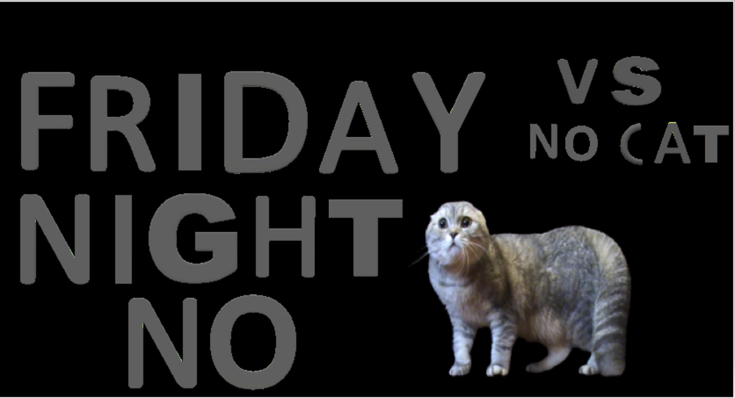 Friday night no: VS No No No Cat