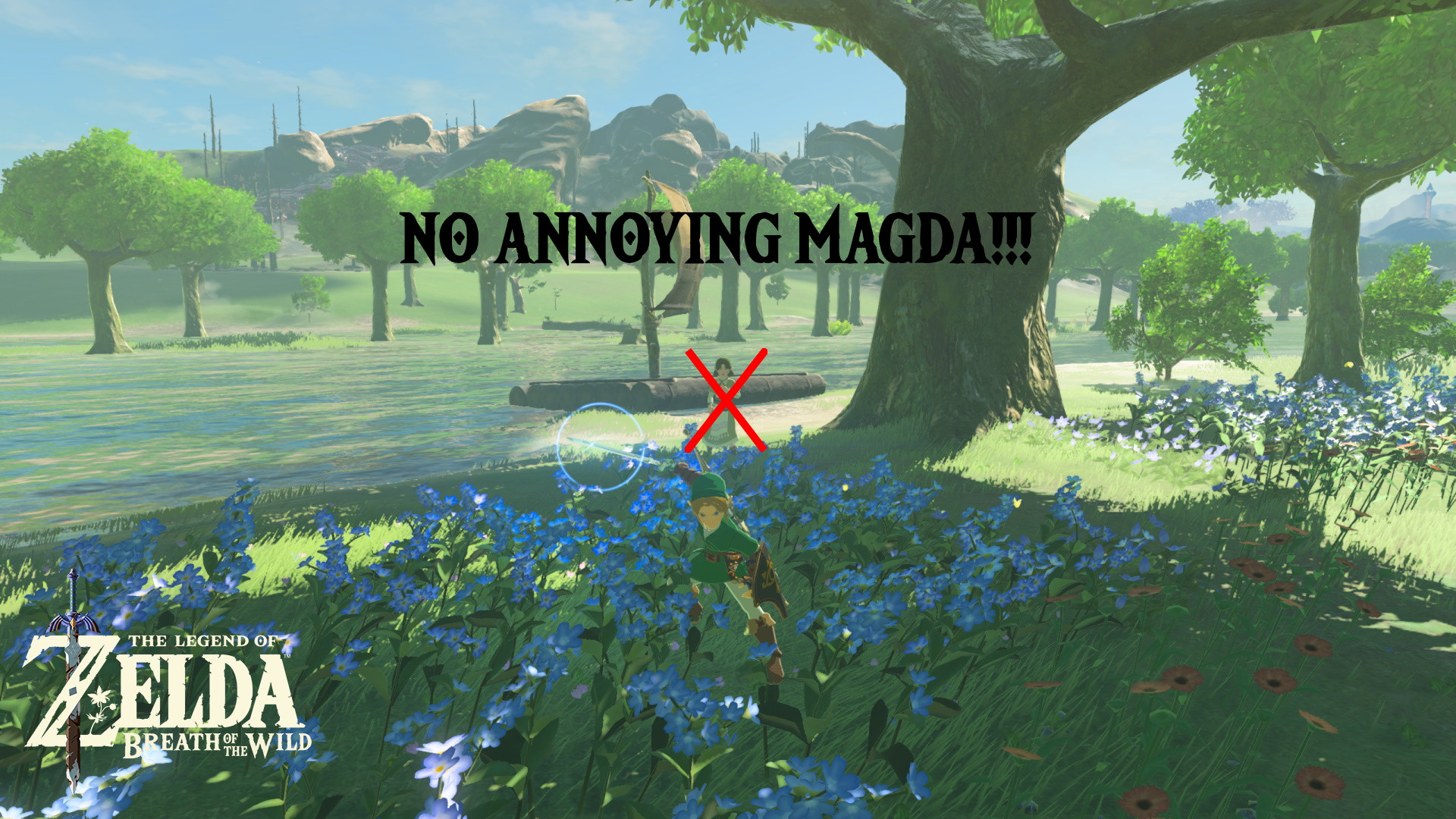 No Annoying Flower Lady! [The Legend of Zelda Breath of the Wild (WiiU
