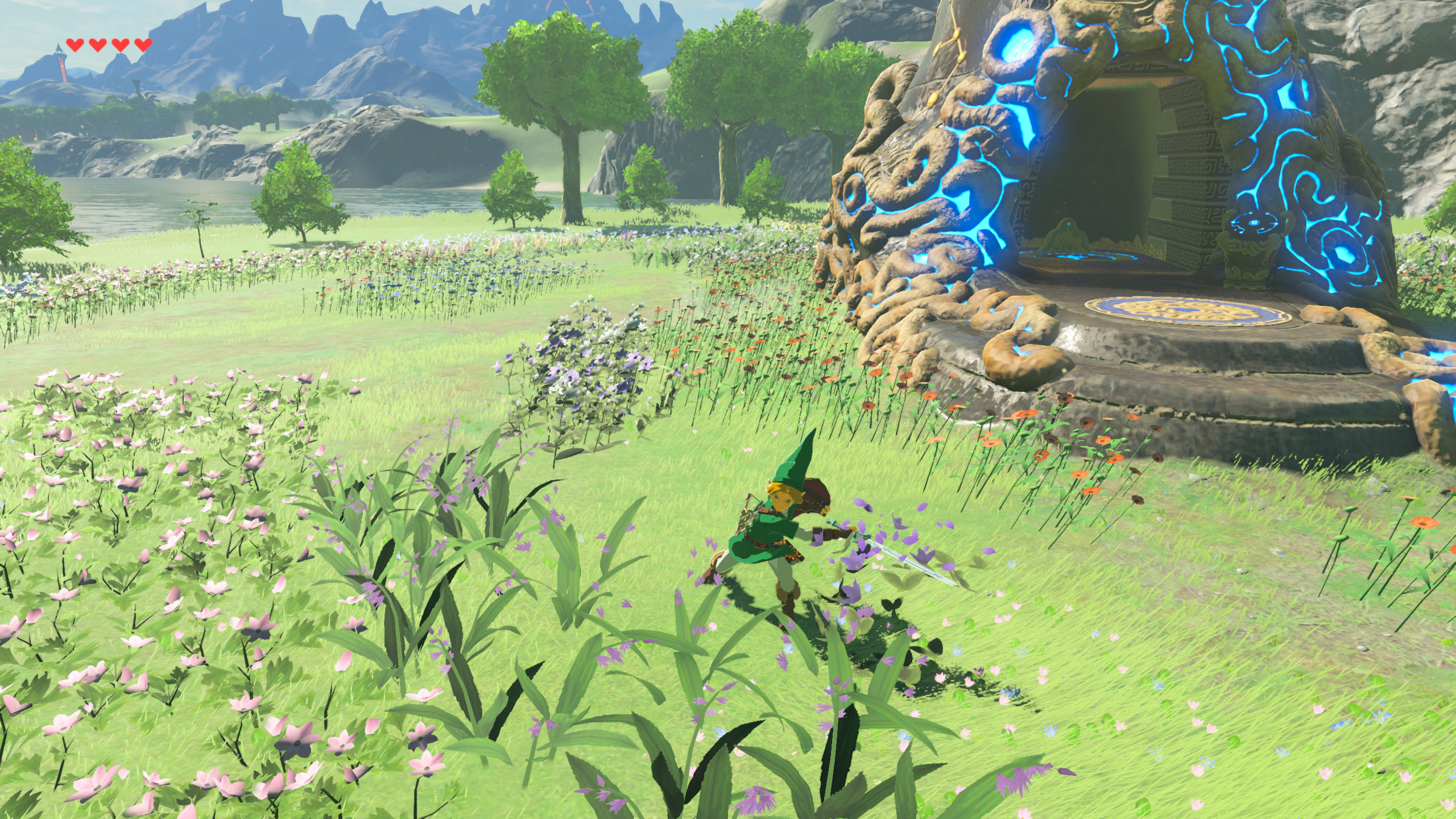 No Annoying Flower Lady! [The Legend of Zelda Breath of the Wild (WiiU