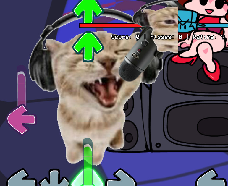 vs rap cat