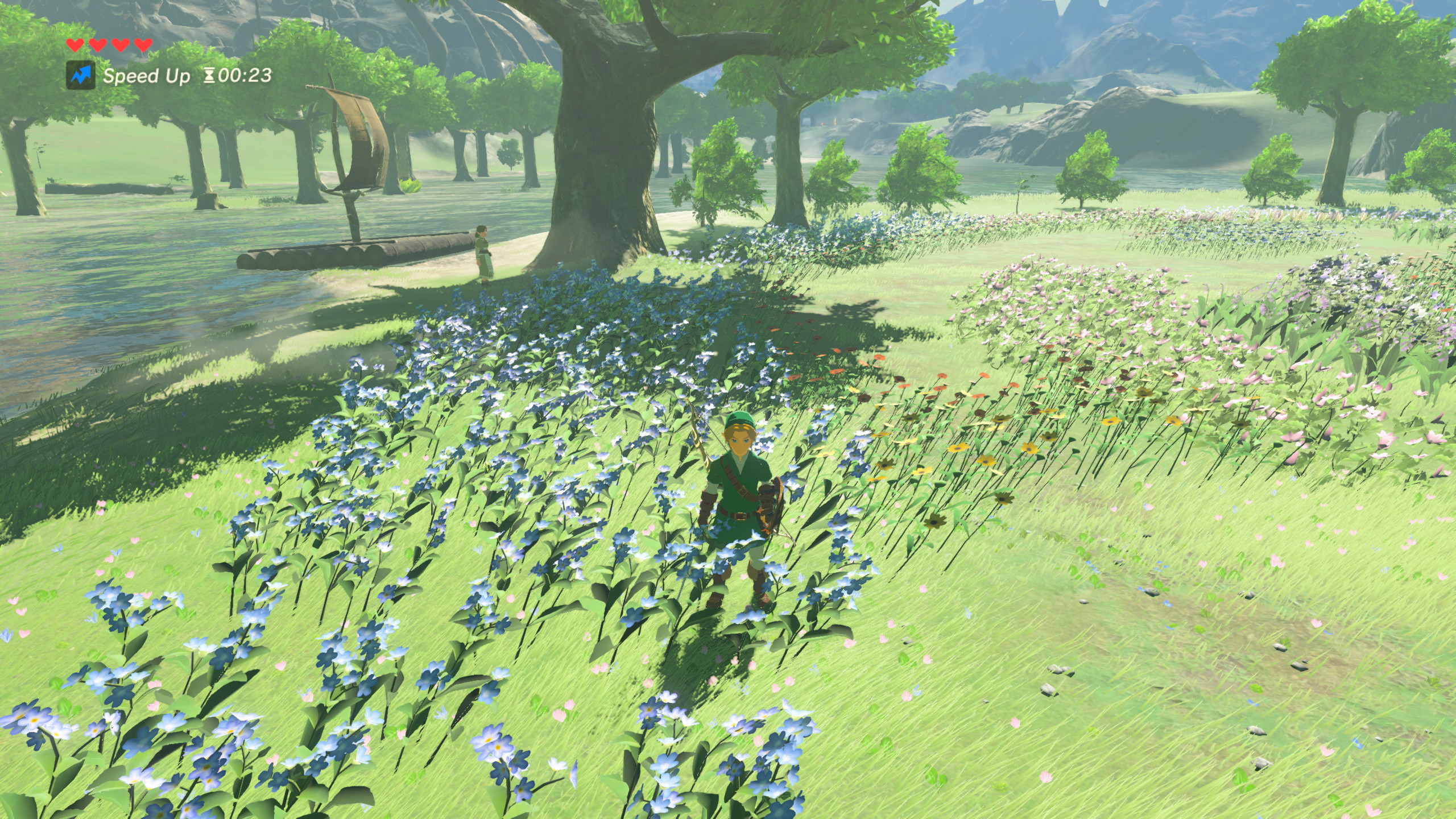 No Annoying Flower Lady! [The Legend of Zelda Breath of the Wild (WiiU