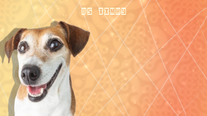 Friday Night Funkin' Vs Timmy the Dog (OLD)