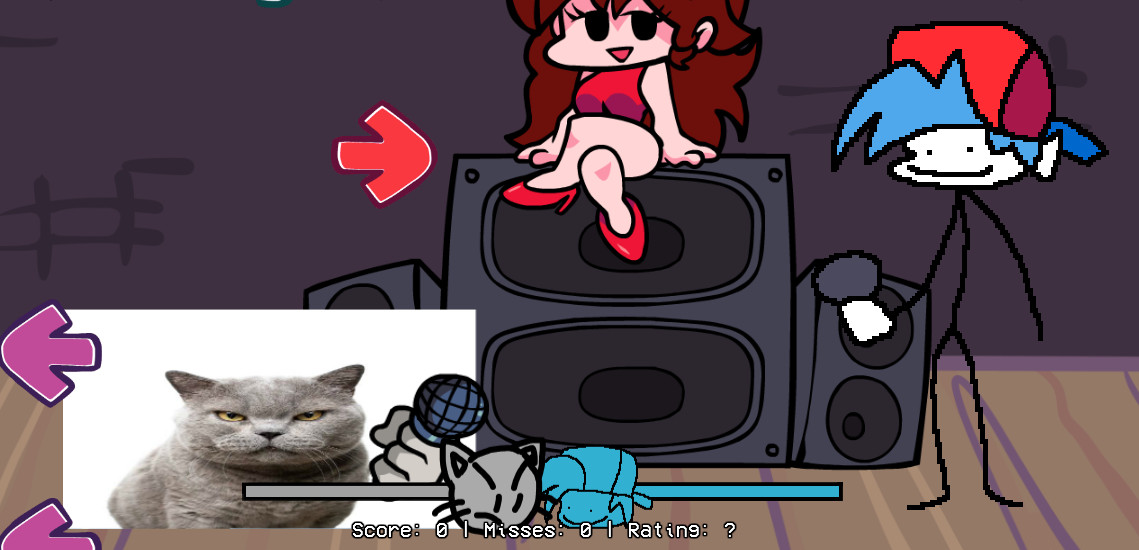 VS Stock Image Cat